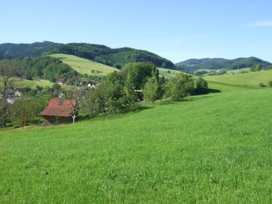 Sonniges, naturnahes Schwarzwald Ferienhäuschen Welschensteinach Exterior foto
