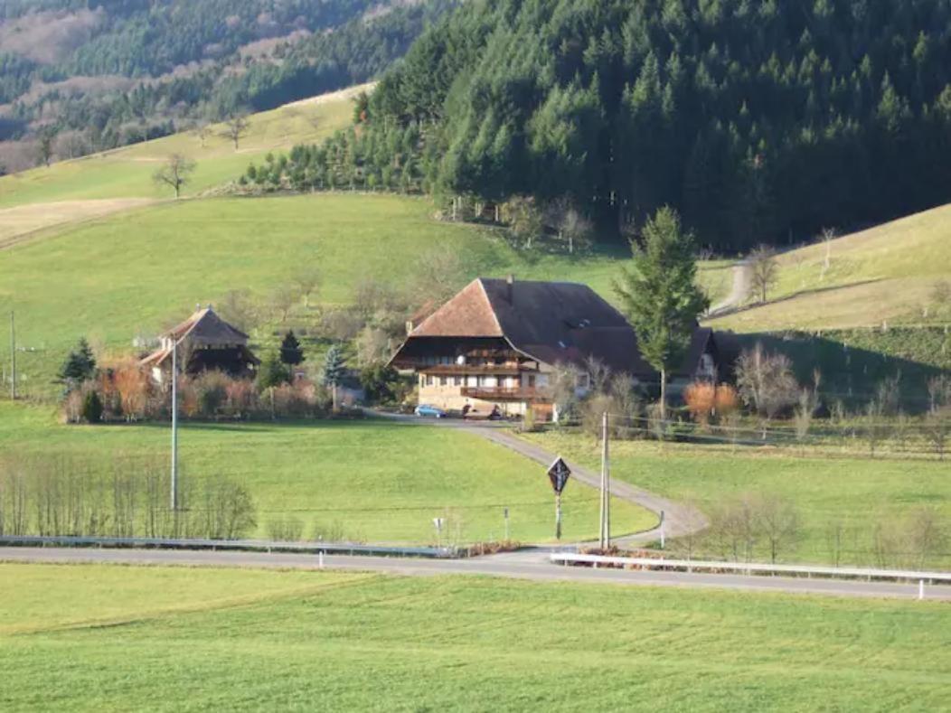 Sonniges, naturnahes Schwarzwald Ferienhäuschen Welschensteinach Exterior foto
